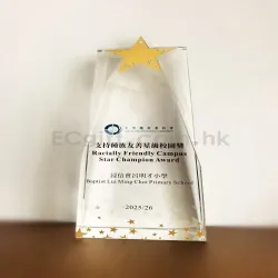 禮品編號：8171 創意水晶獎盃