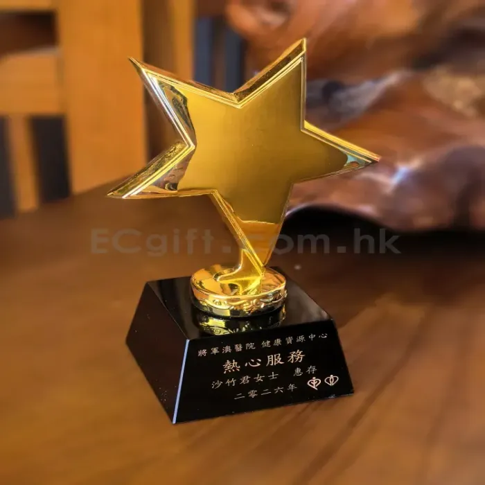 禮品編號：10024  金屬星星小號獎盃